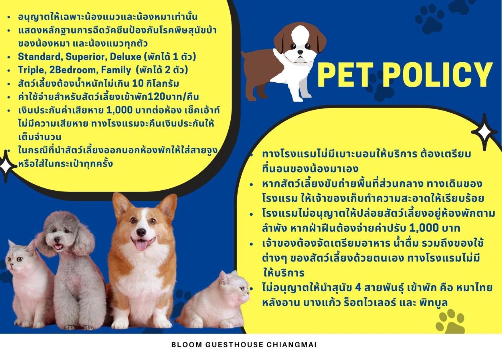 Bloom Guesthouse Chiang Mai Zewnętrze zdjęcie